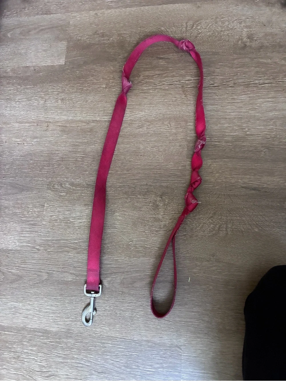 Coastal Red Nylon Dog Leash